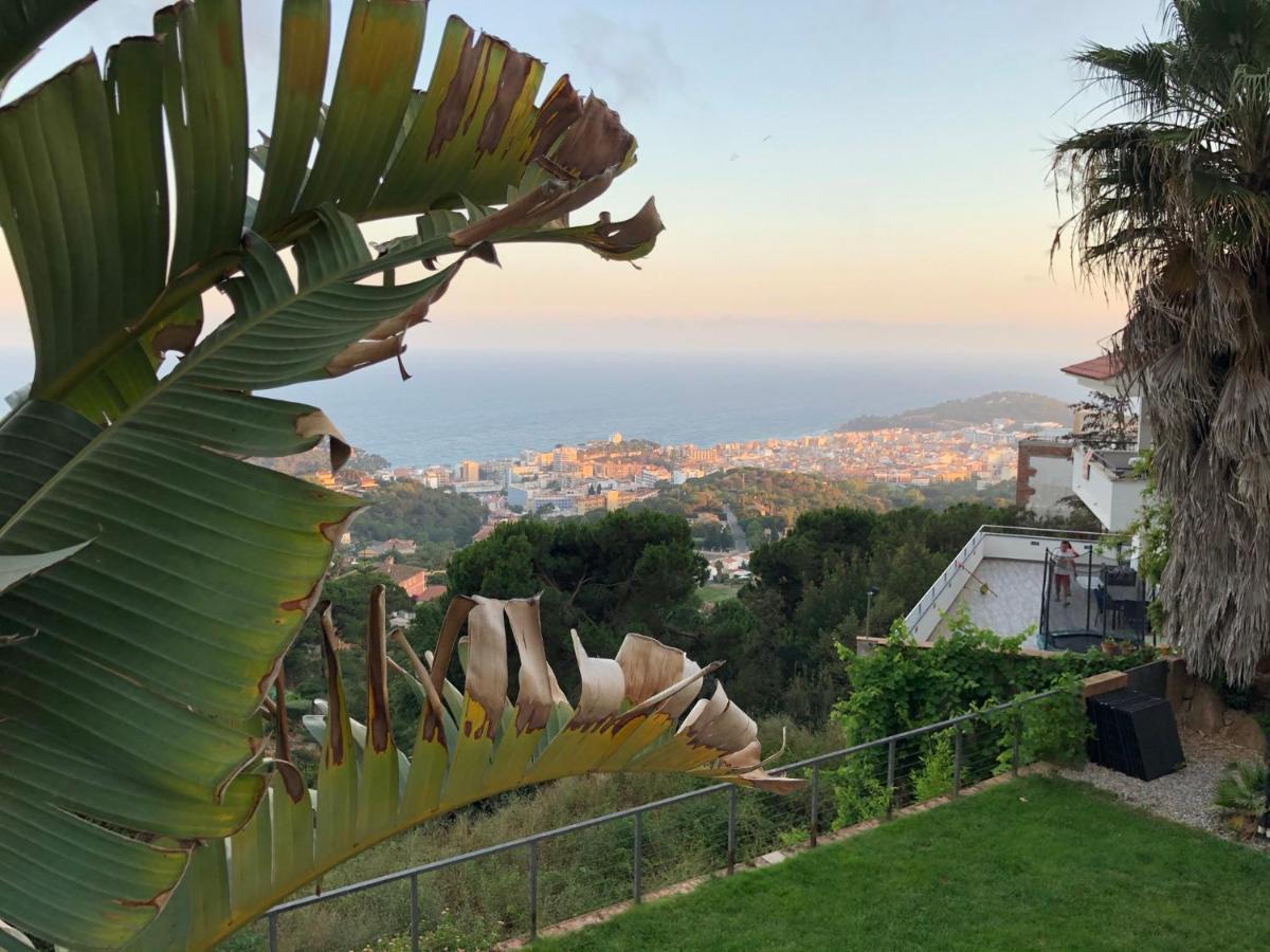 Villa Oasis Costa Brava Lloret de Mar Esterno foto