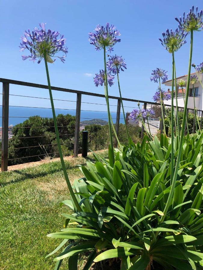 Villa Oasis Costa Brava Lloret de Mar Esterno foto